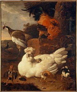 M. de Hondecoeter, hönsmamma med kycklingar av Melchior de Hondecoeter