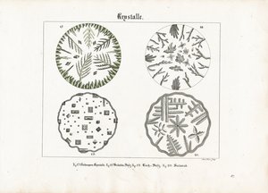 Kristallformer av olika salter av Meno Haas