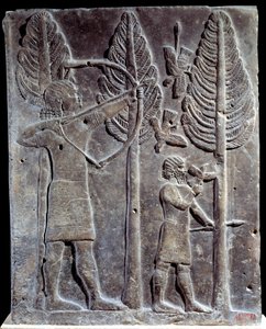 Fågeljaktsscen. Lågrelief i albaster från Palace of Sargon II eller Sharroukin, kung av Assyrien till Khorsabad (Khunsabad) (Mesopotamien), Irak. 722-705 f.Kr. Paris. Louvren av Mesopotamian Mesopotamian