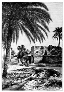 En gata i Biskra, Algeriet, 1895.