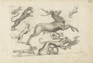 Studieblad med ritningsexempel: olika djur av Michael Snijders (attributed to)