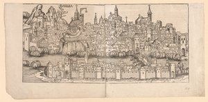 Nürnbergkrönika: Topografisk vy av Basel, Schweiz