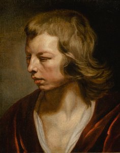 Studie av en pojke av Michaelina Wautier