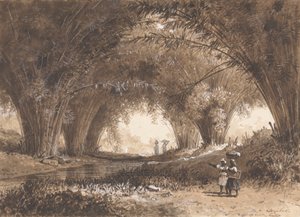 Bambubågar, St. Anns