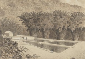 Reservoaren vid Maraval av Michel Jean Cazabon