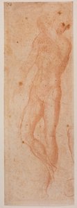 Studier av manliga nakna av Michelangelo (after) Buonarroti