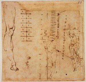 Figurstudier av Michelangelo Buonarroti