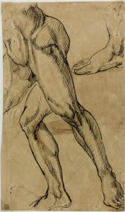 Ben och fötter av manlig naken av Michelangelo Buonarroti