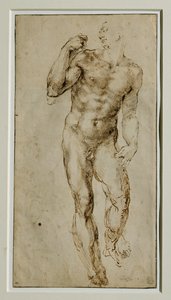 Manlig nakenbild, framifrån, ca 1502-1506 ... av Michelangelo Buonarroti