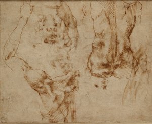 swedish av Michelangelo Buonarroti
