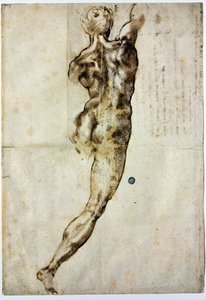 Naken bakifrån, c. 1504