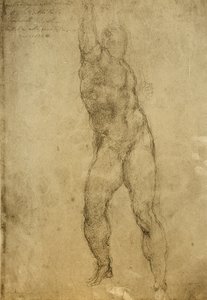 Nakenstudie, teckning av Michelangelo. Gallerie dellAccademia, Venedig av Michelangelo Buonarroti