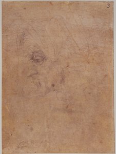 Profil av en gammal kvinna av Michelangelo Buonarroti