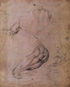 Sixtinska kapellets tak (1508-12): skisser av Evas gestalt från scenen av Ursynden (kol på papper) av Michelangelo Buonarroti