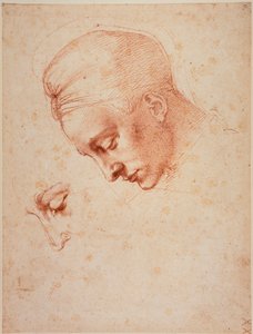 Studier för huvudet på "Leda av Michelangelo Buonarroti