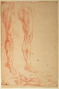 Studier av ben och armar (röd krita på papper) av Michelangelo Buonarroti