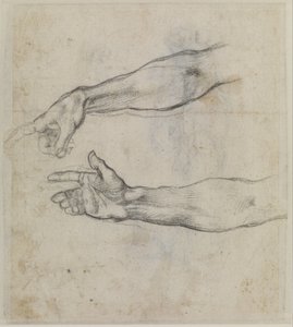 Studier av en utsträckt arm för fresken "Noas berusning" i Sixtinska kapellet, ca 1508-09 (svart krita på papper) av Michelangelo Buonarroti