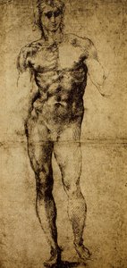 Studie för en manlig naken, Michelangelo Buonarroti (1475-1564), teckning, Paris, Louvren