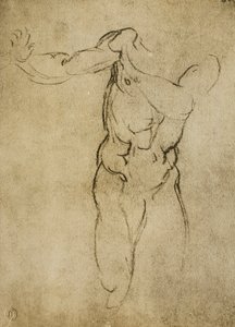 Studera för en maskulin byst, teckning av Michelangelo. Casa Buonarroti, Florens av Michelangelo Buonarroti