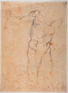 Studie för Adam av "Fördrivningen från Pardiso" i Sixtinska kapellet av Michelangelo Buonarroti