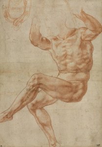 Studera för den nakna ungdomen över profeten Daniel, för det sixtinska taket, 1510-11