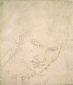 Studie av ett huvud, c1490-1560 av Michelangelo Buonarroti