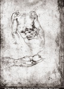Studie av en manlig torso och arm av Michelangelo Buonarroti