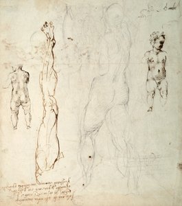 Studie av Kristusbarnet och en anatomisk teckning med anteckningar (svart krita och brunt bläck på papper) (verso) av Michelangelo Buonarroti