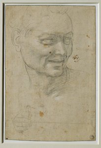 Huvud och ignudosens högra hand ovanför och till vänster om Jesaja, vid valvet i Capella Sistina ... av Michelangelo Buonarroti