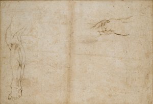 Verso: Studier av en mans ben, c1490-1560 av Michelangelo Buonarroti