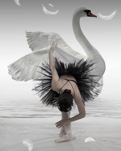 Svart svan-ballerina av Mieke