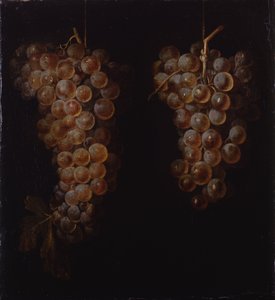 Druvorna av Miguel de Pret