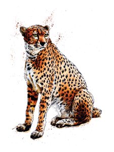 Cheetah on White, 2020 av Mike Davis