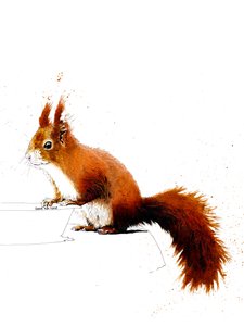 Den röda ekorren på vitt, 2019 av Mike Davis