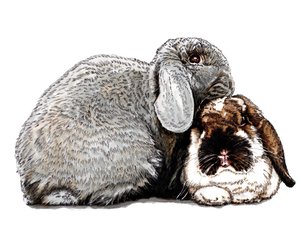 Funderar på Bunnies on White, 2020 av Mike Davis