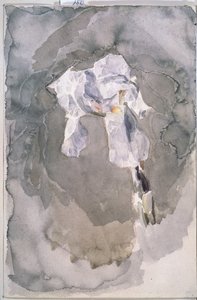 Vit iris av Mikhail Aleksandrovich Vrubel