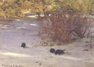 Skuggor på snön (akvarell på papper)