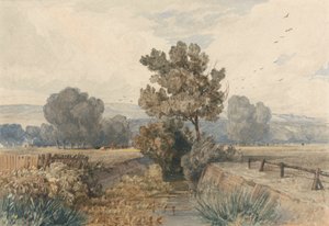 Scen i Elmham, Norfolk