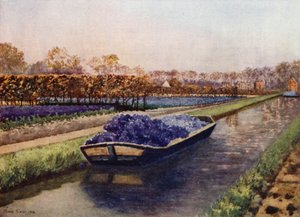 En båtlast av doft (färg litho) av Mima Nixon