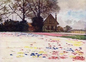 Hyacinter utspridda på sanden (färg litho) av Mima Nixon