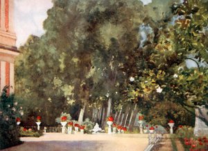 Magnolieträdet, Aranjuez