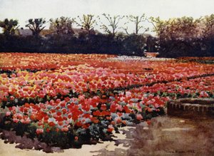 "De vårar, de bygger, blomstrar fräscha och vackra, och dekorerar världen med sina rika pompösa shower" (färg litho)