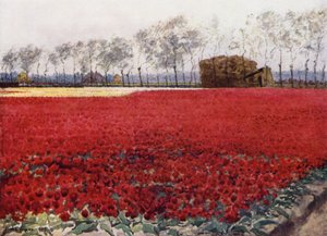 "Vems löv med sin karmosinröda glöd Göm hjärtat som ligger brinnande och svart nedanför" (färg litho) av Mima Nixon