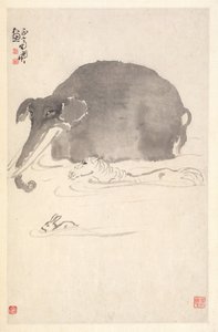Elefant, häst och hare