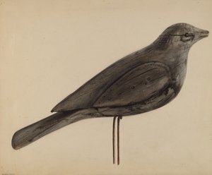 Decoy (mås)
