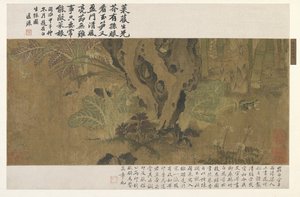 Bambu, groda och insekter