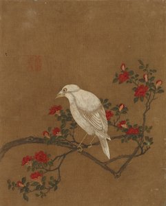 Tio bilder på fåglar och blommor (färg på siden)
