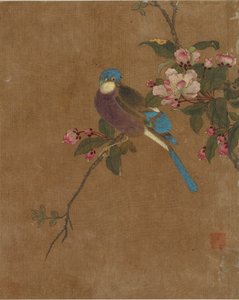 Tio bilder på fåglar och blommor (färg på siden)