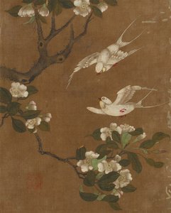 Tio bilder på fåglar och blommor (färg på siden)
