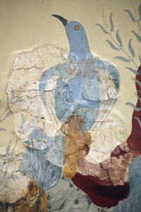Minoen konst. Detalj av "" Blue bird" Fresco eller "" Den blå fågeln på Kreta"". En av de tidigaste och viktigaste målningarna från det så kallade ç Freskhus è på Knossos är den av ç Blå fågel è. Det är väldigt fragmentariskt och absolut belo
